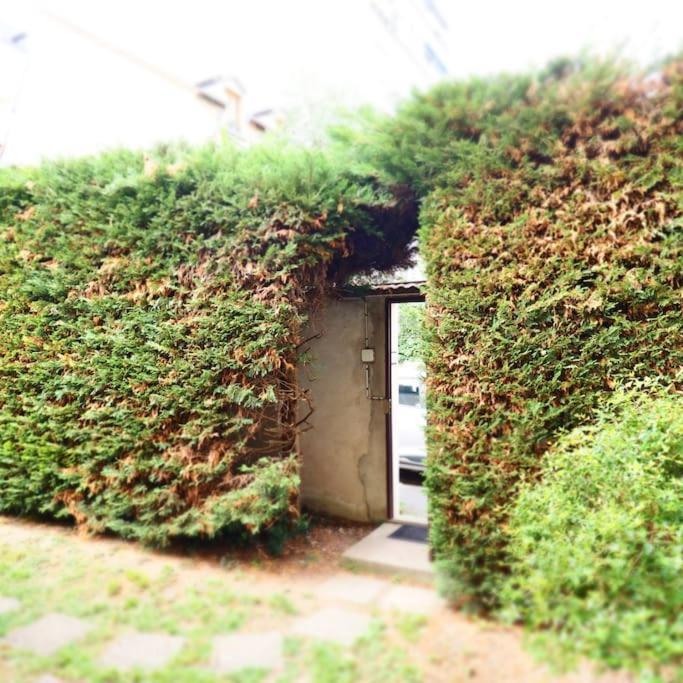 Maison Faure - Centre Ville - Jardin - Garage ヴィシー エクステリア 写真